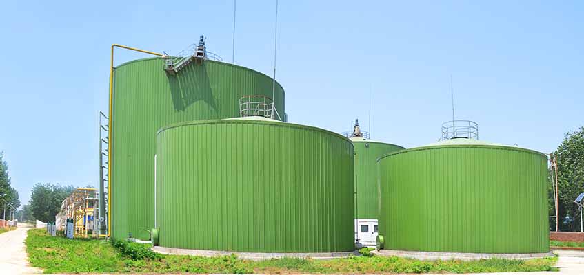 Biomass Biogas Project